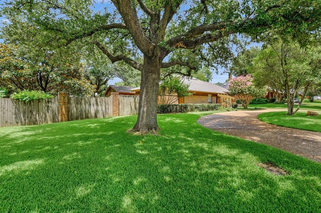 View of yard | Image 4