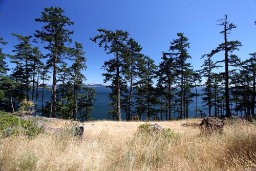 1340 Greenleaf Lane, Sidney Island, BC, V0N2G0 | Card Image