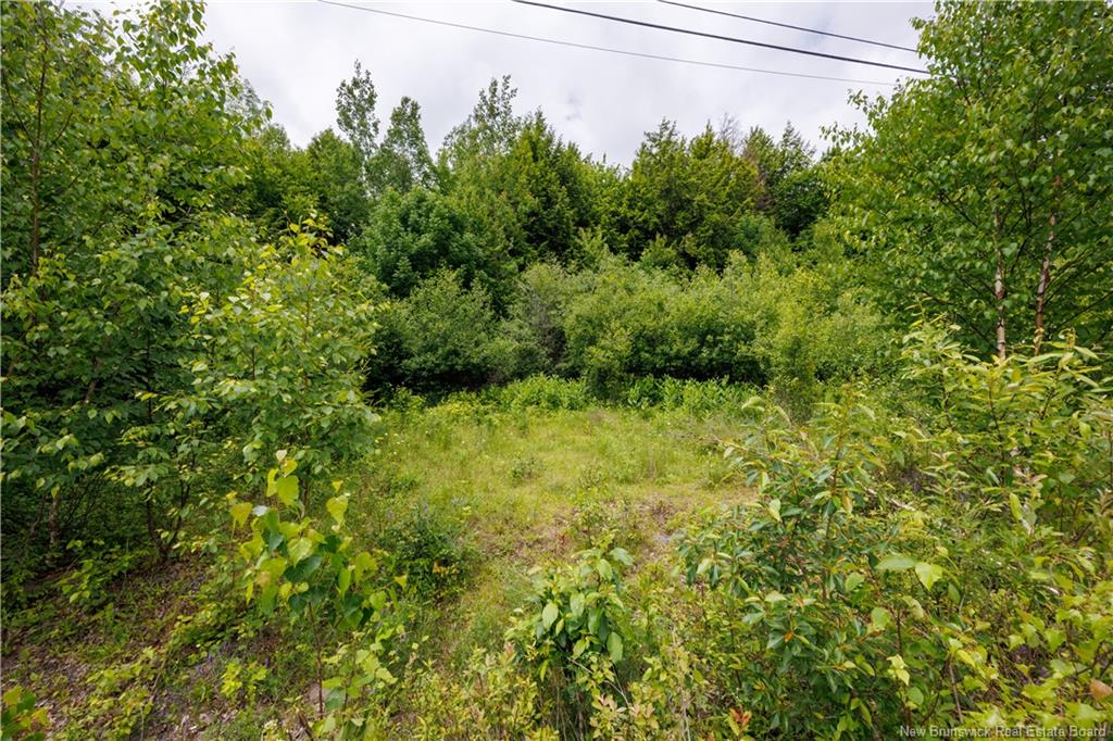 Land in Richibucto Road 5