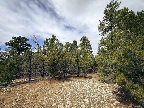 76 Mill Run Rd, Mosca, CO, 81146-9804 | Card Image