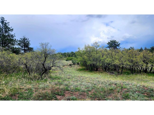 324 Pikeview Ln, House other with 3 bedrooms, 2 bathrooms and null parking in Florissant CO | Image 43