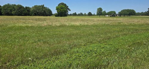 TBD Montgomery Way, Trinity, TX, 75862 | Card Image