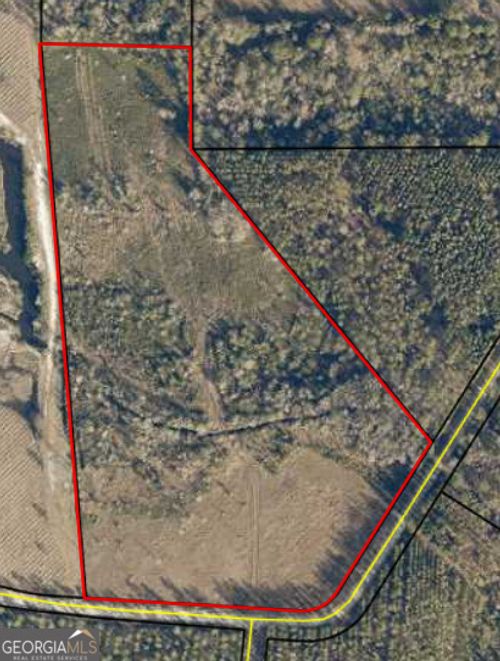 0 Thorn Bird Rd, Millwood, GA, 31552 | Card Image
