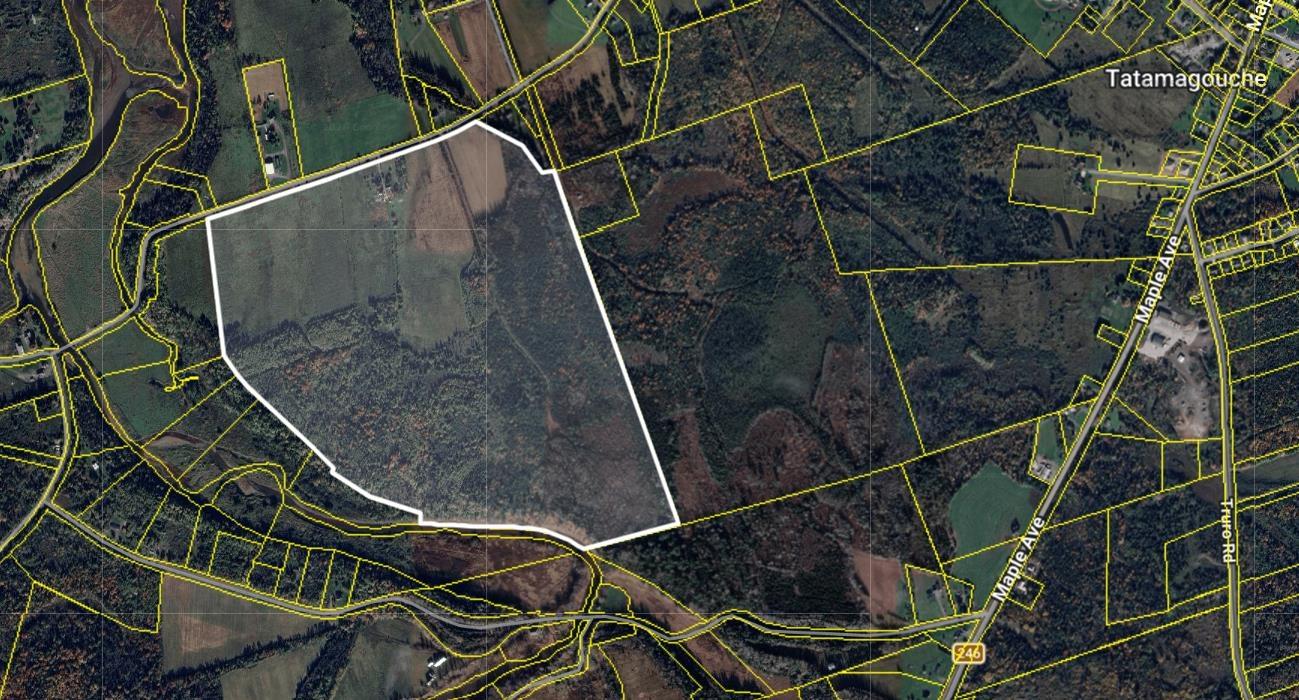 Land in Tatamagouche 2