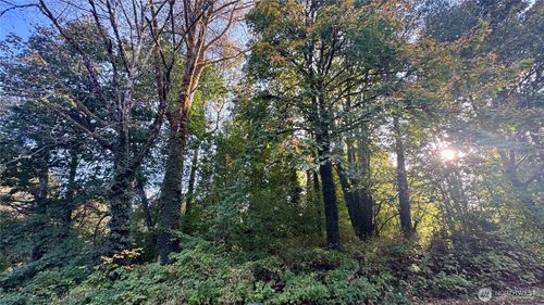 0 Lt 14&15 Cape Horn Dr, Concrete, WA, 98237 | Card Image