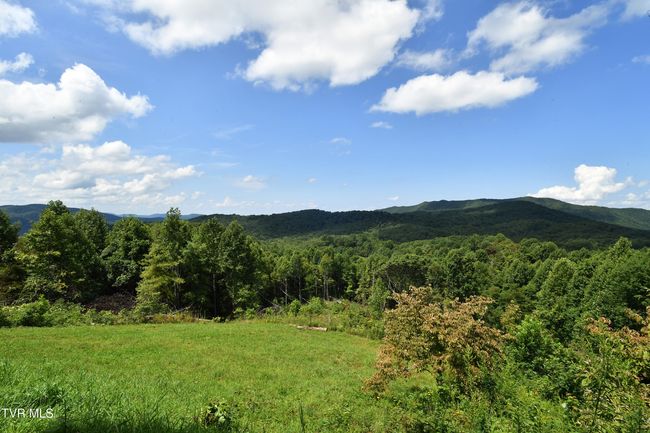308 Walnut Mountain Farms Loop, House other with 4 bedrooms, 3 bathrooms and null parking in Roan Mountain TN | Image 29
