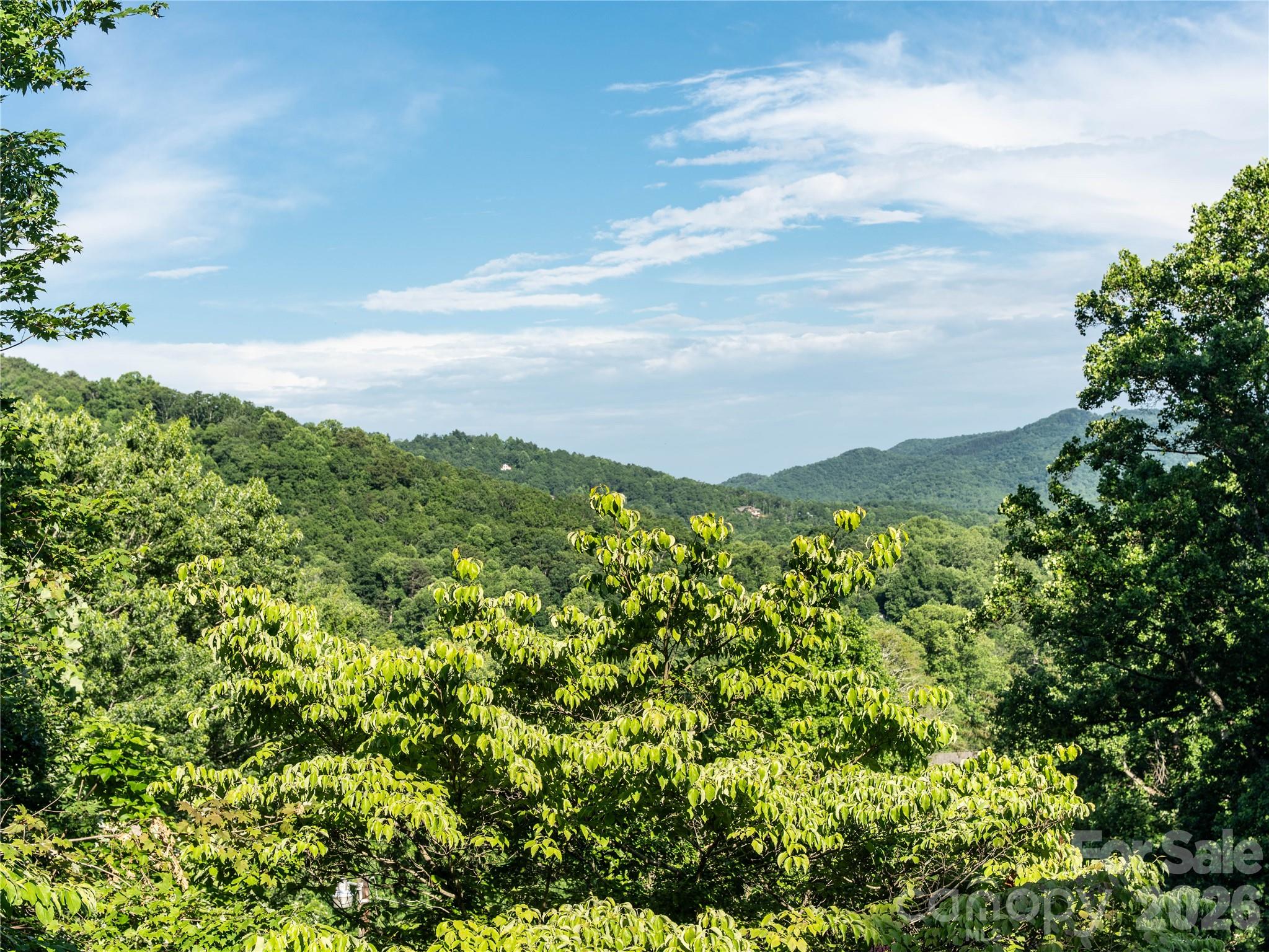 Residential in Black Mountain 2