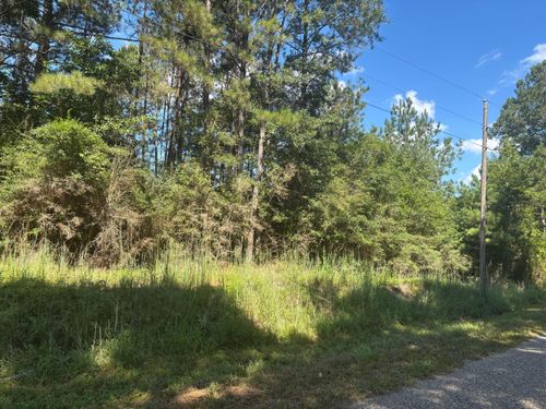 0 Palestine Loop, Oak Vale, MS, 39656 | Card Image