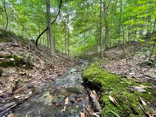 0 Mcclanahan Rd, Hampshire, TN, 38461 | Card Image