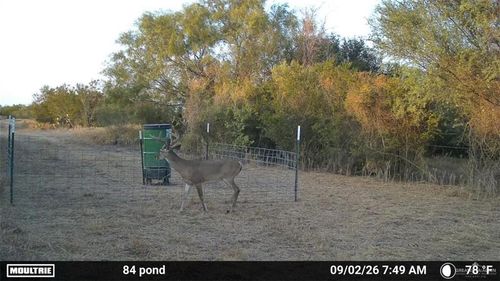 Tract 2 Fm 2687, Zapata, TX, 78076 | Card Image
