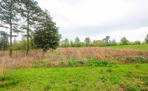 TBD (Lot 36) Ridgeline Loop, Winona, TX, 75792 | Card Image