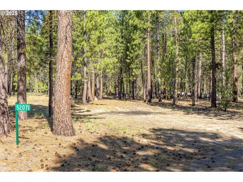 52071 Red Pne, La Pine, OR, 97739-9427 | Card Image