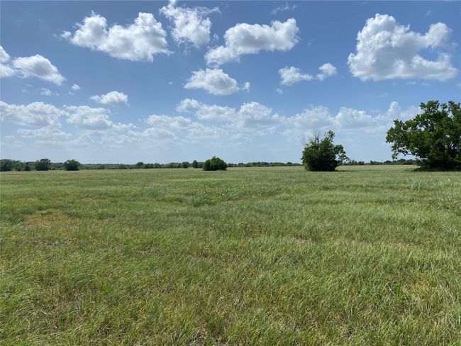 504 Brahman Trl, Home with 0 bedrooms, 0 bathrooms and null parking in Angleton TX | Image 7