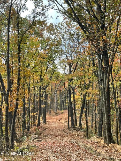 150 Timber Oaks Ln, Pioneer, TN, 37847 | Card Image