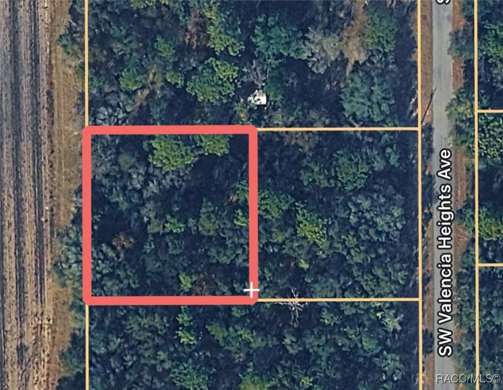 Land in Dunnellon 2