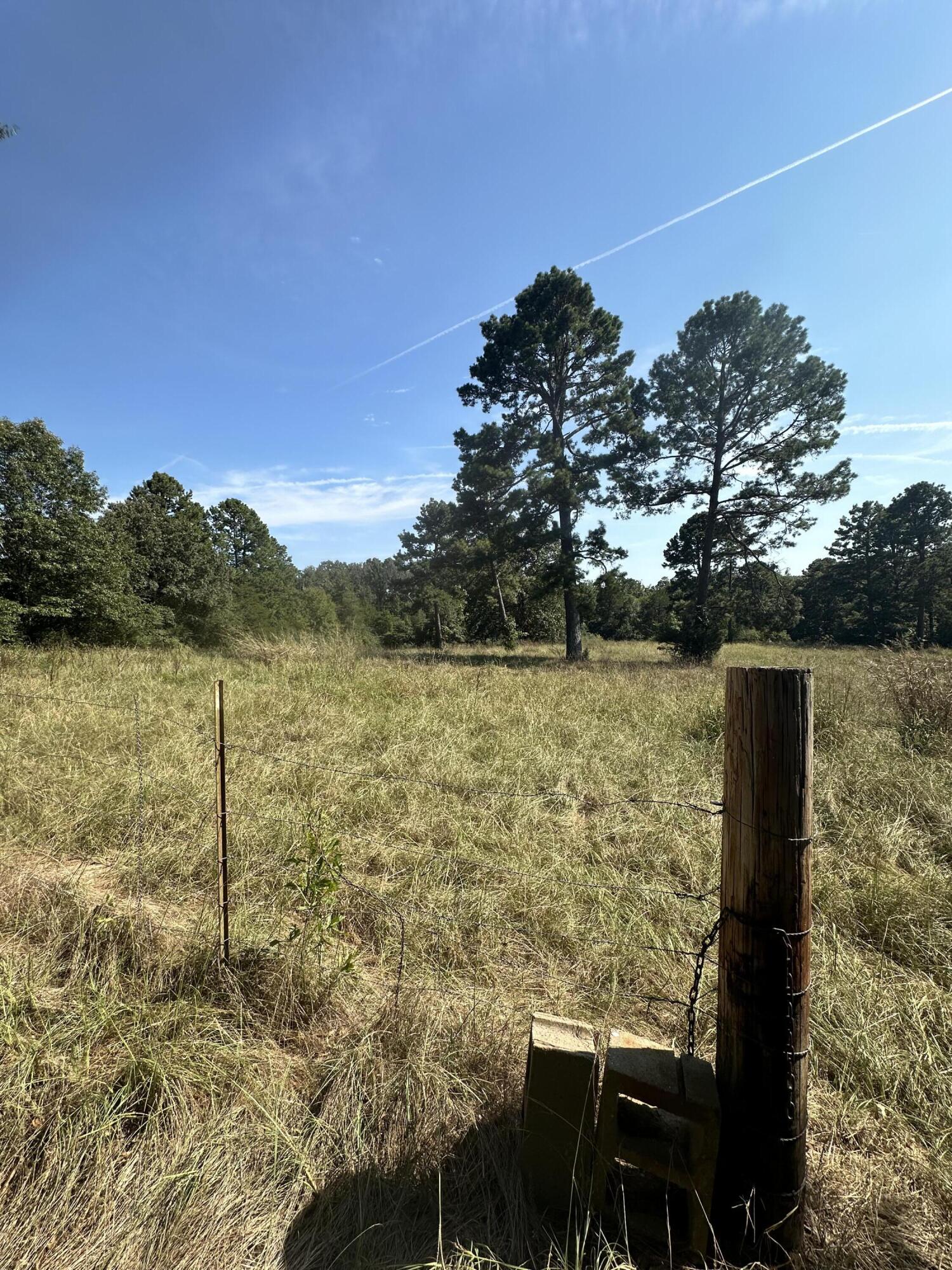 Linker Mountain Rd, Dover, AR 72837 #1