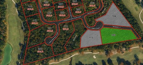 103 Chateau Pines Court, Montgomery, TX, 77316 | Card Image