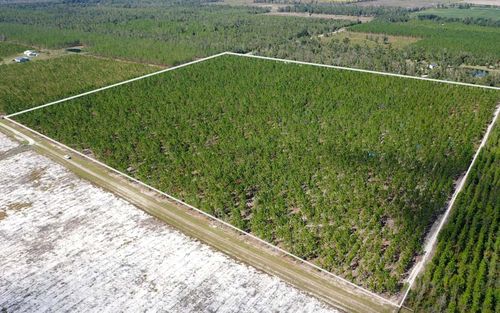 TBD Se Pebble Ridge St, Lee, FL, 32059 | Card Image