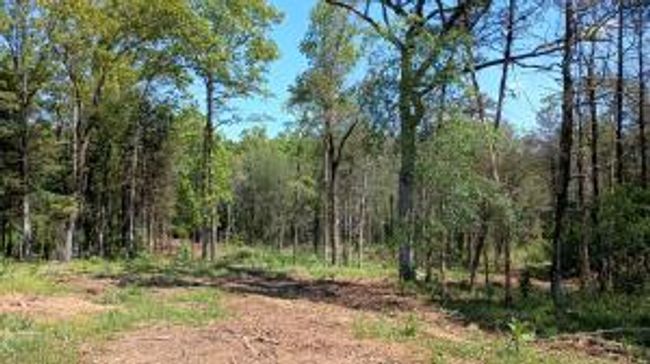 27B & 28B Shelby Lane, Home with 0 bedrooms, 0 bathrooms and null parking in Cecil AR | Image 14