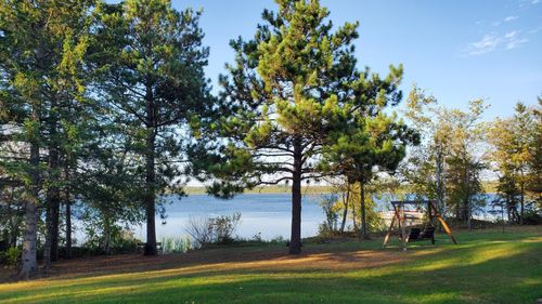 16029 71st Ave Nw, Cass Lake, MN, 56633-3051 | Card Image