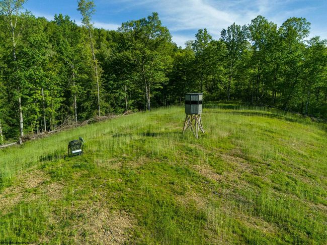 5698 Morgantown Pike, Home with 4 bedrooms, 2 bathrooms and 3 parking in Belington WV | Image 20