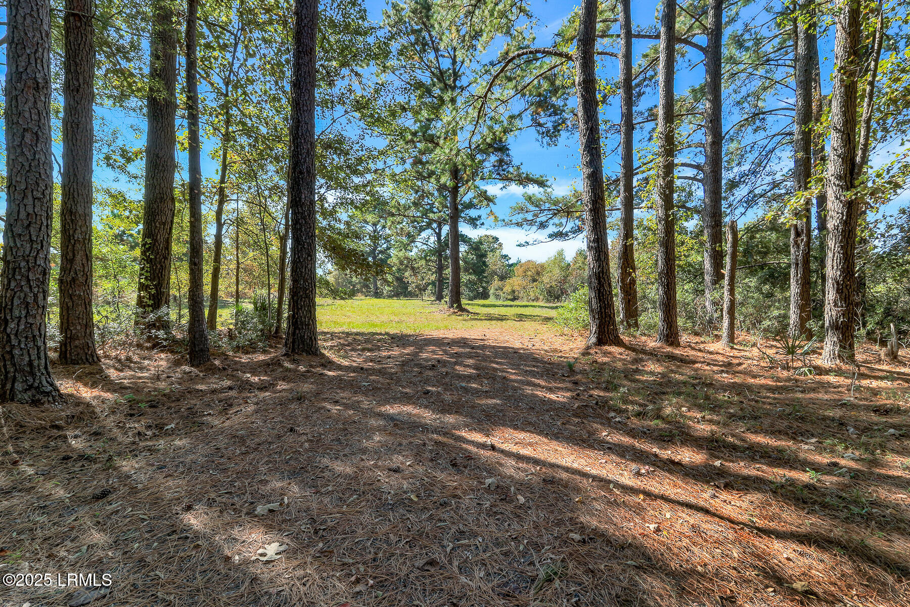 Land in Ridgeland 4