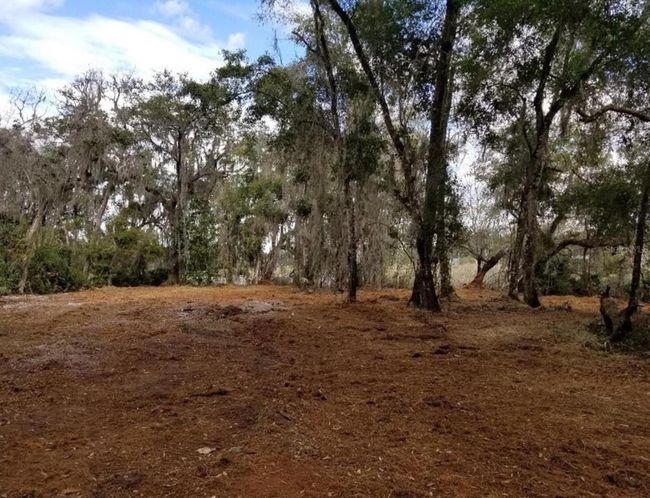 1005 N Pennybacker Rd, Home with 0 bedrooms, 0 bathrooms and null parking in Inverness FL | Image 9