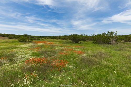 Tract 3 Us Hwy 277, Wingate, TX, 79566 | Card Image