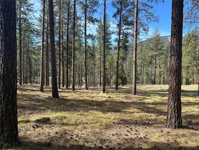 31760 Old Highway 10 W, Home with 0 bedrooms, 0 bathrooms and null parking in Alberton MT | Image 29