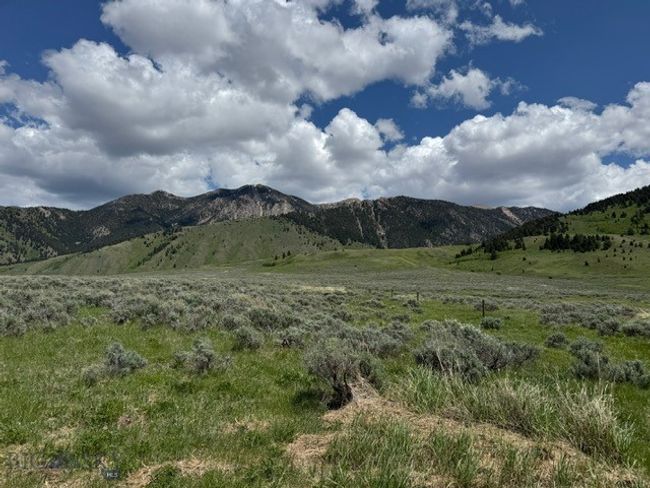 77 Gvt Lot 6 Final Legal Tbd, Home with 0 bedrooms, 0 bathrooms and null parking in Cameron MT | Image 4