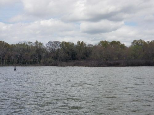 159 Lcr 890, Jewett, TX, 75846 | Card Image