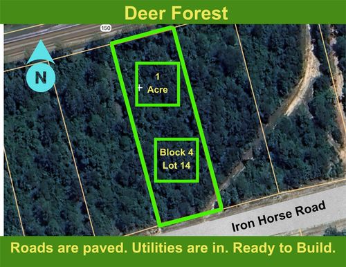 194 Iron Horse Rd, New Waverly, TX, 77358 | Card Image