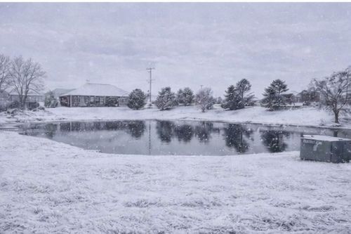 13828 W Crescenzo Dr, Manhattan, IL, 60442-4000 | Card Image