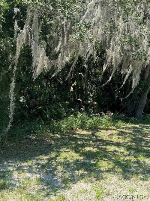 561 Ne 13th Ter, CRYSTAL RIVER, FL, 34428 | Card Image