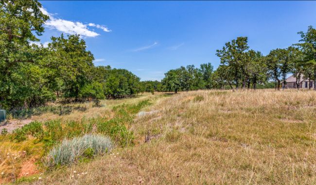 271 Creek Meadow Ct, Home with 0 bedrooms, 0 bathrooms and null parking in Lipan TX | Image 4