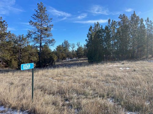 10269 Timber Trl, Edgemont, SD, 57735-5014 | Card Image