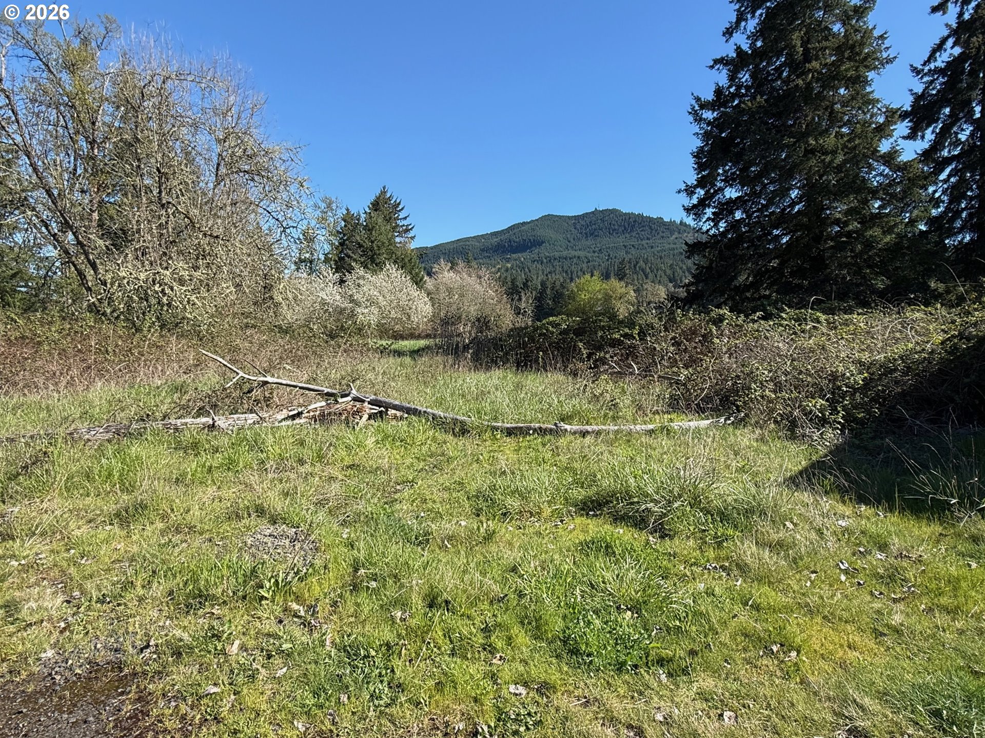 Commercial Sale in FallCreek 5