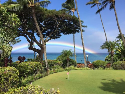 503-3959 Lower Honoapiilani Rd, Lahaina, HI, 96761-9394 | Card Image