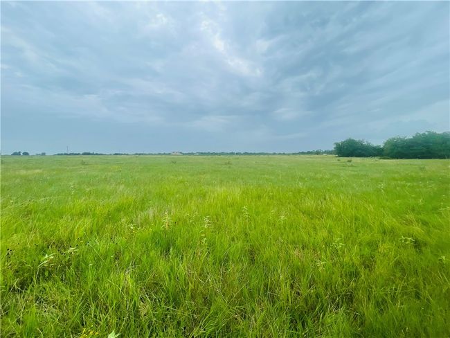 8409 S Hickory Loop, Home with 0 bedrooms, 0 bathrooms and null parking in Calvert TX | Image 13