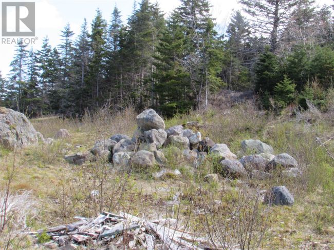37-41 A Conception Bay Highway, Home with 0 bedrooms, 0 bathrooms and null parking in Harbour Main NL | Image 13
