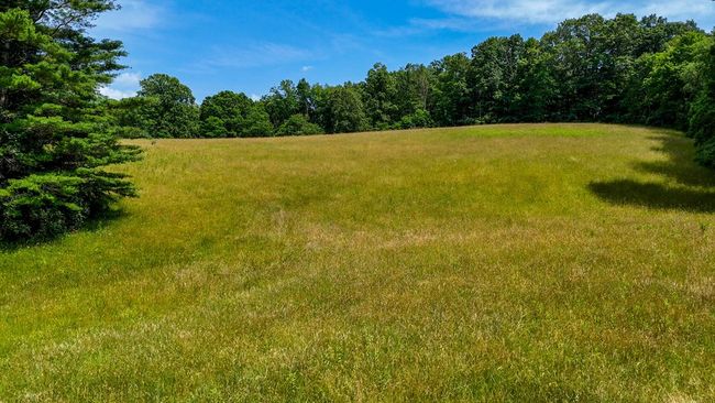 2486 Laurel Fork Rd, Home with 0 bedrooms, 0 bathrooms and null parking in Rocky Gap VA | Image 51