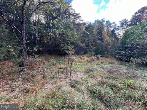 Lot 6 Deep Run Hollow Road, DELRAY, WV, 26714 | Card Image