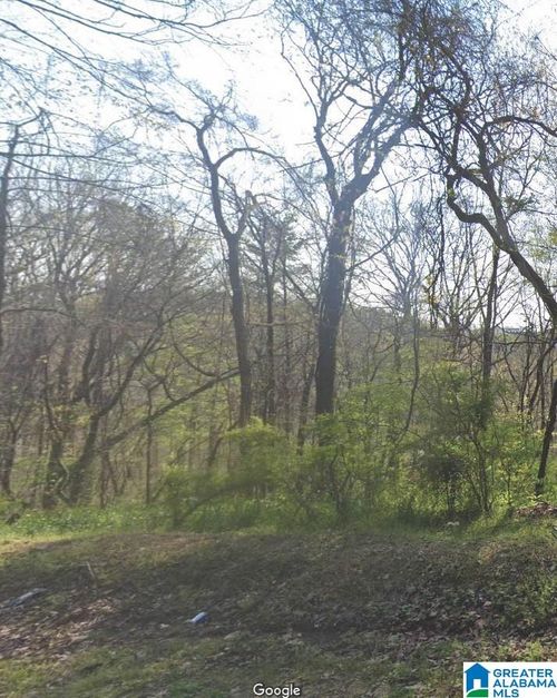 0-4601 Silver Lake Rd, Pinson, AL, 35126-3738 | Card Image