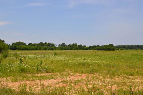 40 Acres, Fisher, AR, 72429 | Card Image