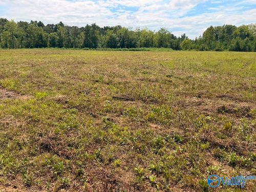 Lot 15 County Road 39, Piedmont, AL, 36272 | Card Image