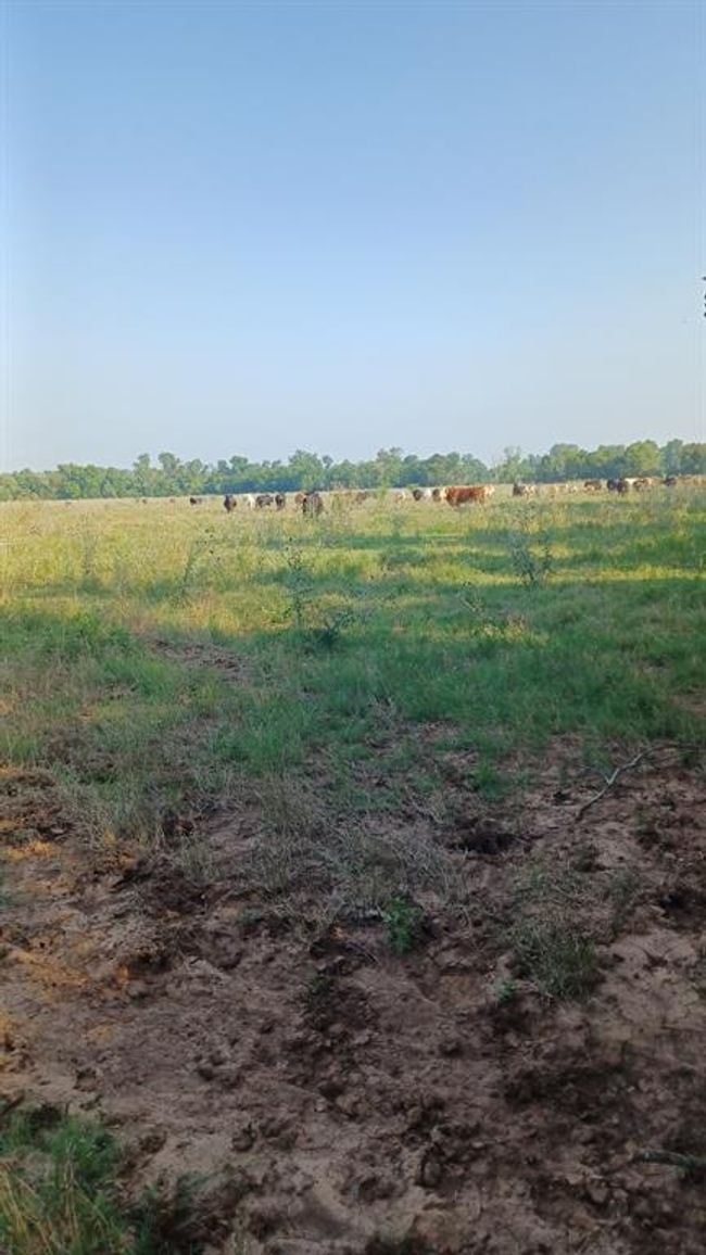 1479 Holman Rd, Home with 0 bedrooms, 0 bathrooms and null parking in Burkburnett TX | Image 16
