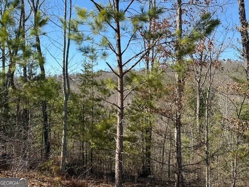 Lot #11 Long View Ln, Blue Ridge, GA, 30513-1409 | Card Image