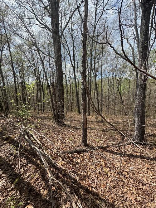 Lot 345 Drew Ct, Smithville, TN, 37166 | Card Image