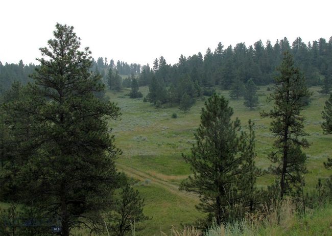 SC-25 - TBD Lone Rock Canyon Lane, Home with 0 bedrooms, 0 bathrooms and null parking in Hysham MT | Image 15