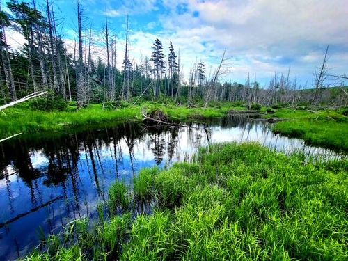 11 Morrison Brook Acres, Oakfield, ME, 04763 | Card Image